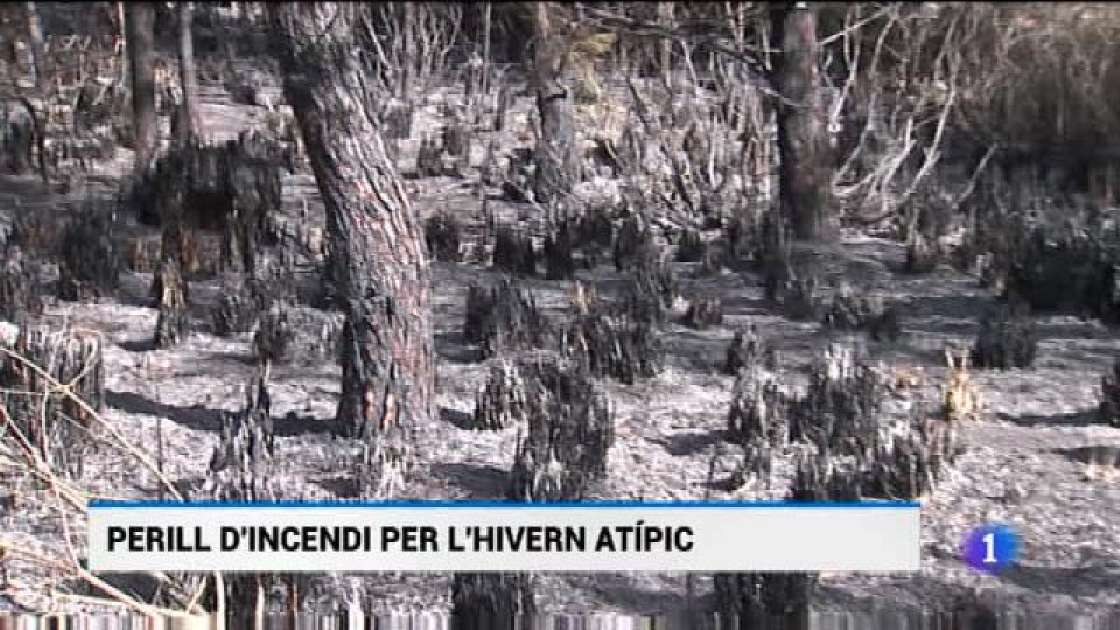 Informatiu Balear en 2' - 07/03/19