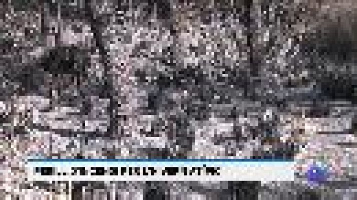 Informatiu Balear - Informatiu Balear en 2' - 07/03/19