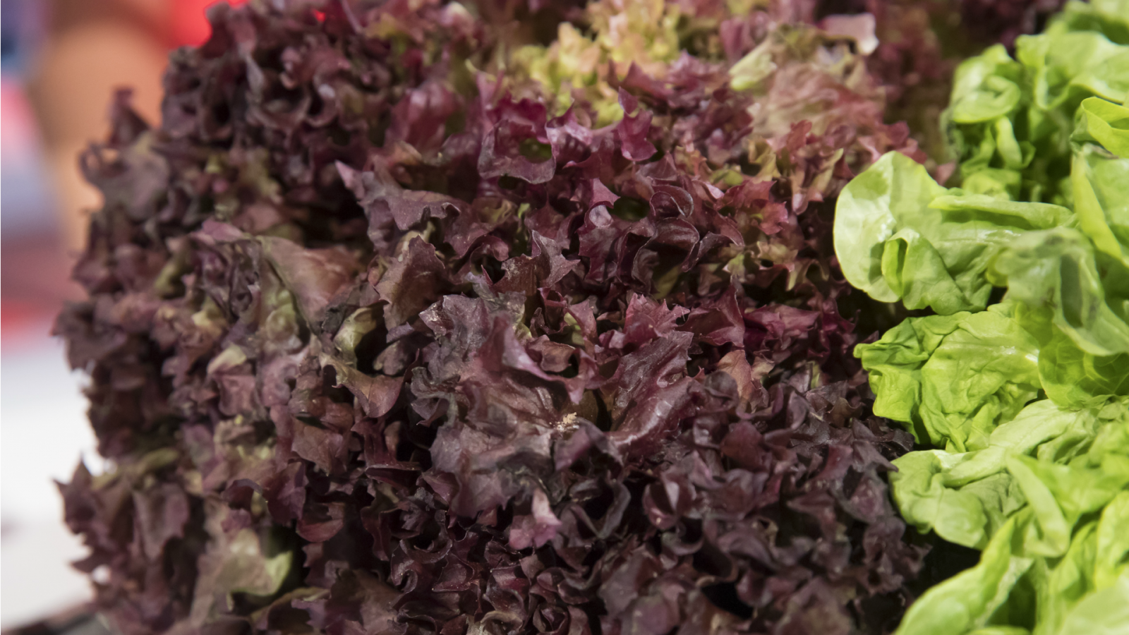 Cómo hacer más sanas tus ensaladas Saber Vivir