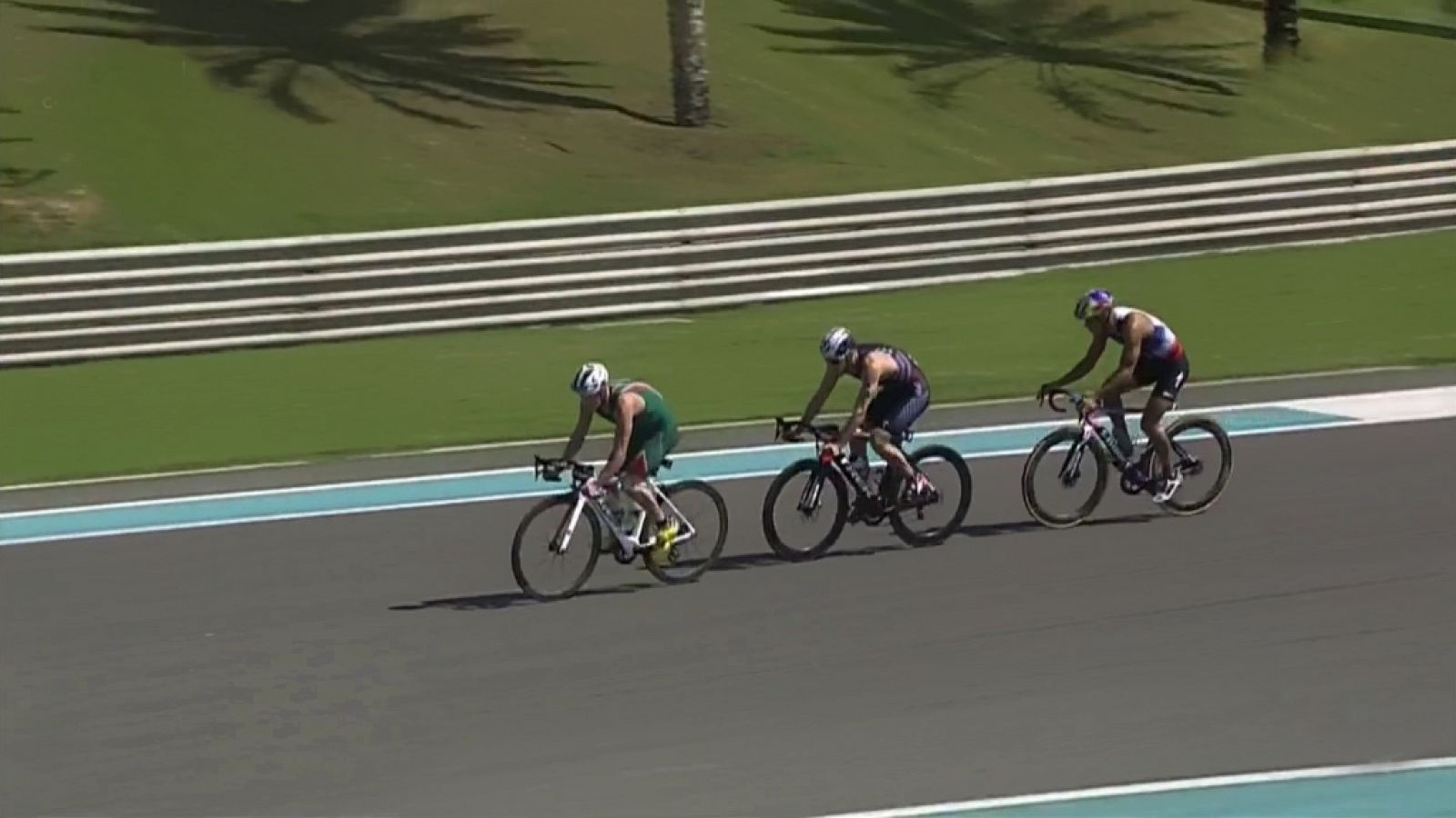 Triatlón - ITU World Series 2019 Carrera Élite Masculina Sprint Prueba Abu Dhabi (Emiratos Árabes)