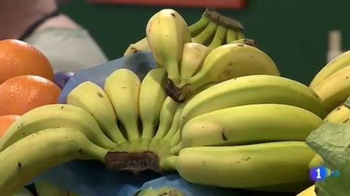 Telediario 1 - Cuatro millones de personas en España  sufren una enfermedad crónica de riñón