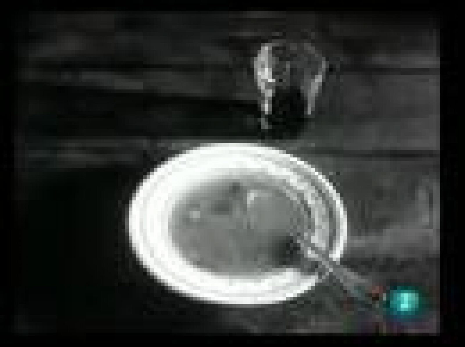 Días de cine - En busca de la química | Ver