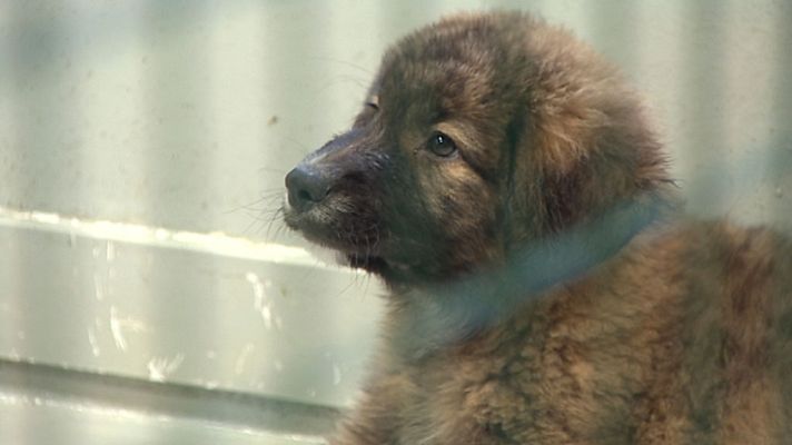 Informativo de Madrid - Informativo de Madrid 2 - 11/03/19