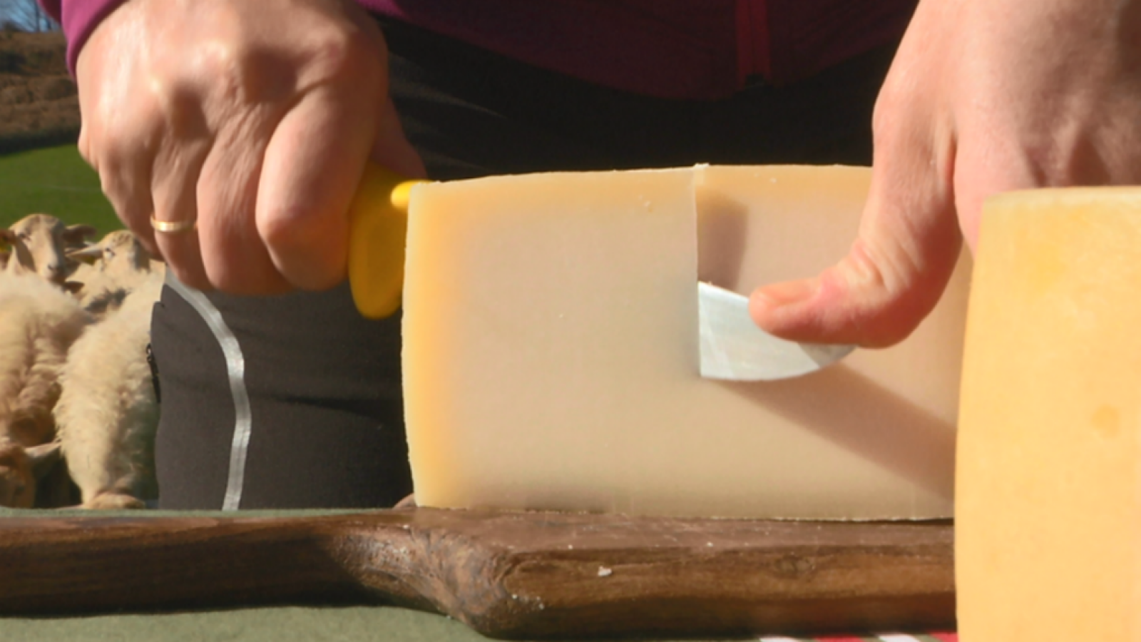 Los súperquesos de la oveja latxa