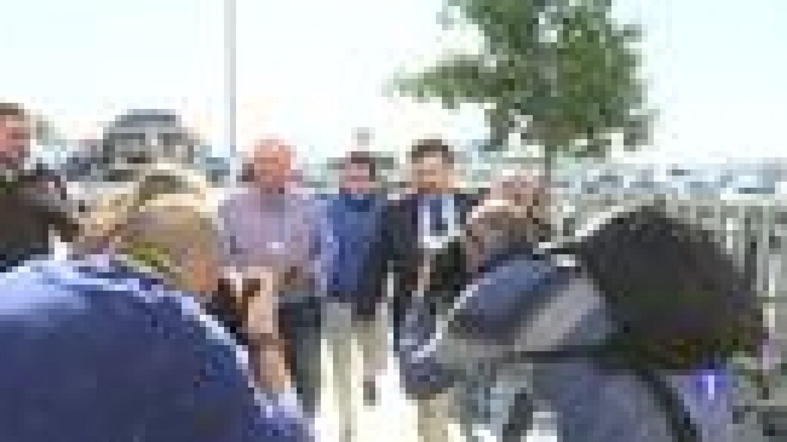 Noticias Andalucía 2 - 12/3/2019 | Ver