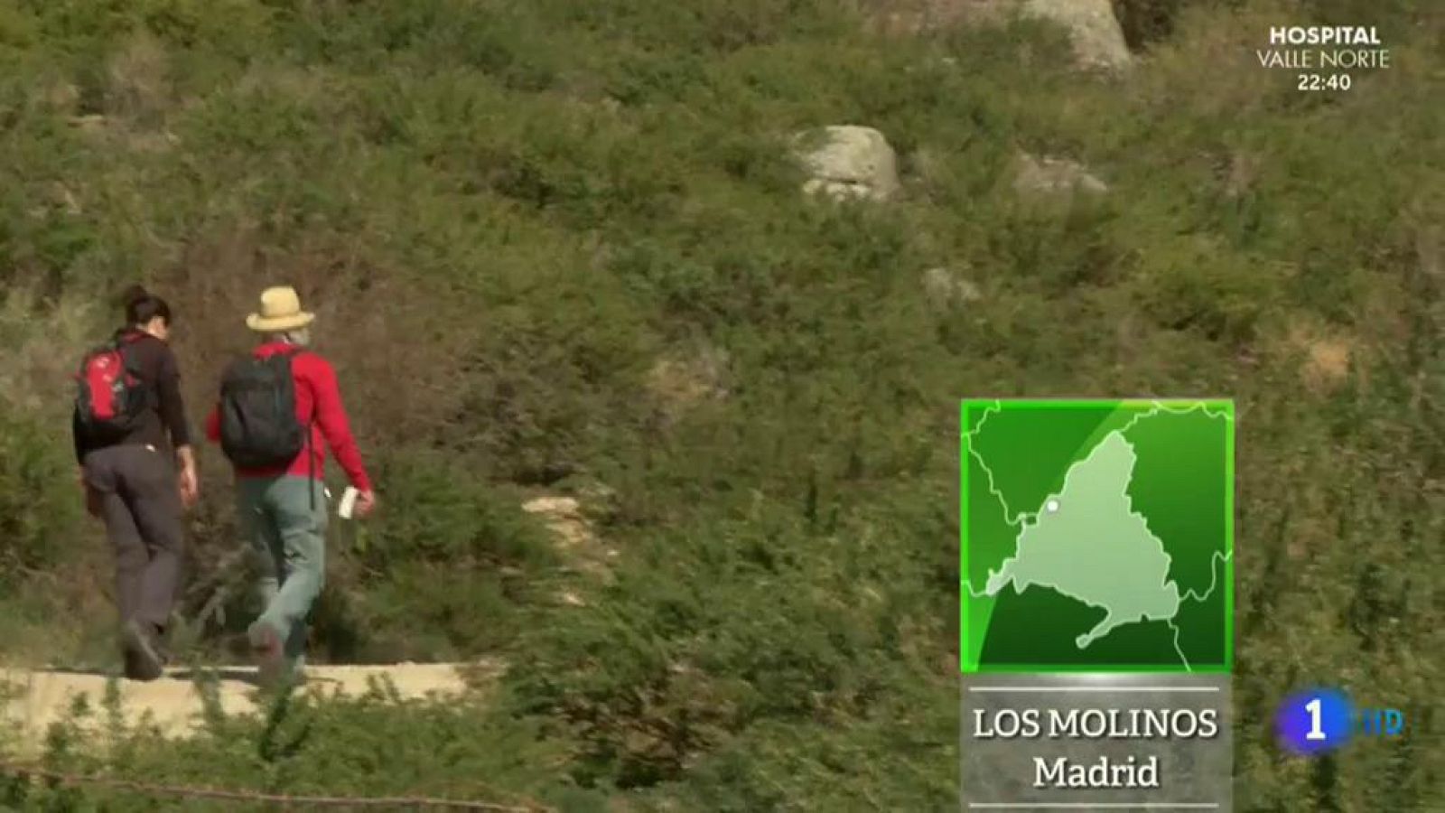 El pino de San Roque