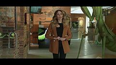 Lo Siguiente - Los insectos están en peligro de extinción