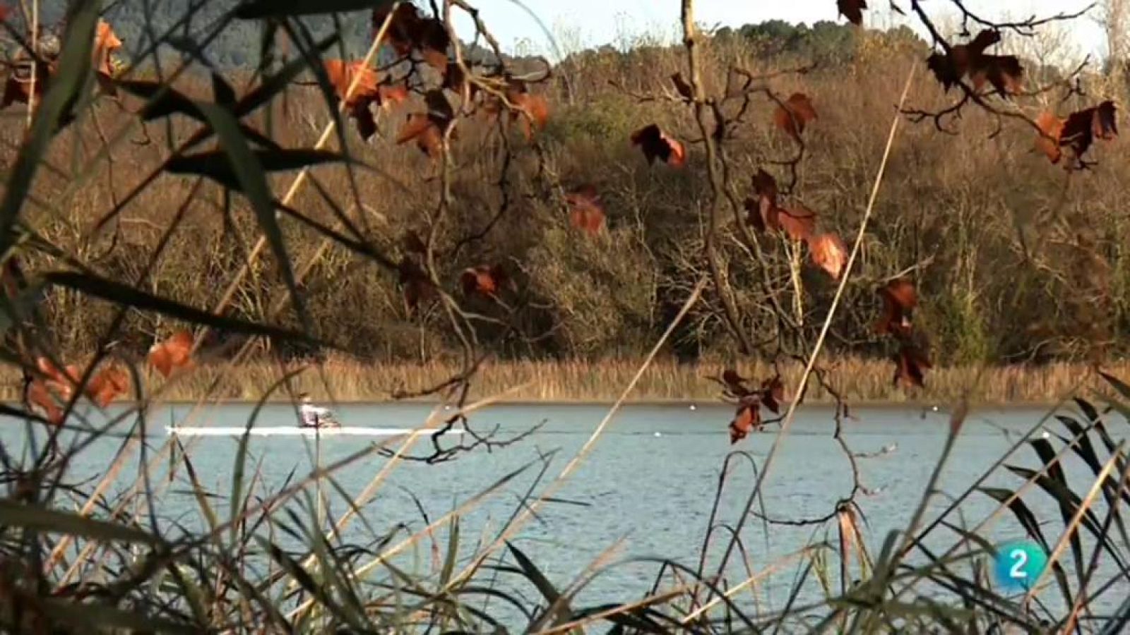 Vídeo sobre Carràrius on es descobreix Olesa, Banyoles, Vilafranca del Penedès, Tarragona i Sant Joan Despí