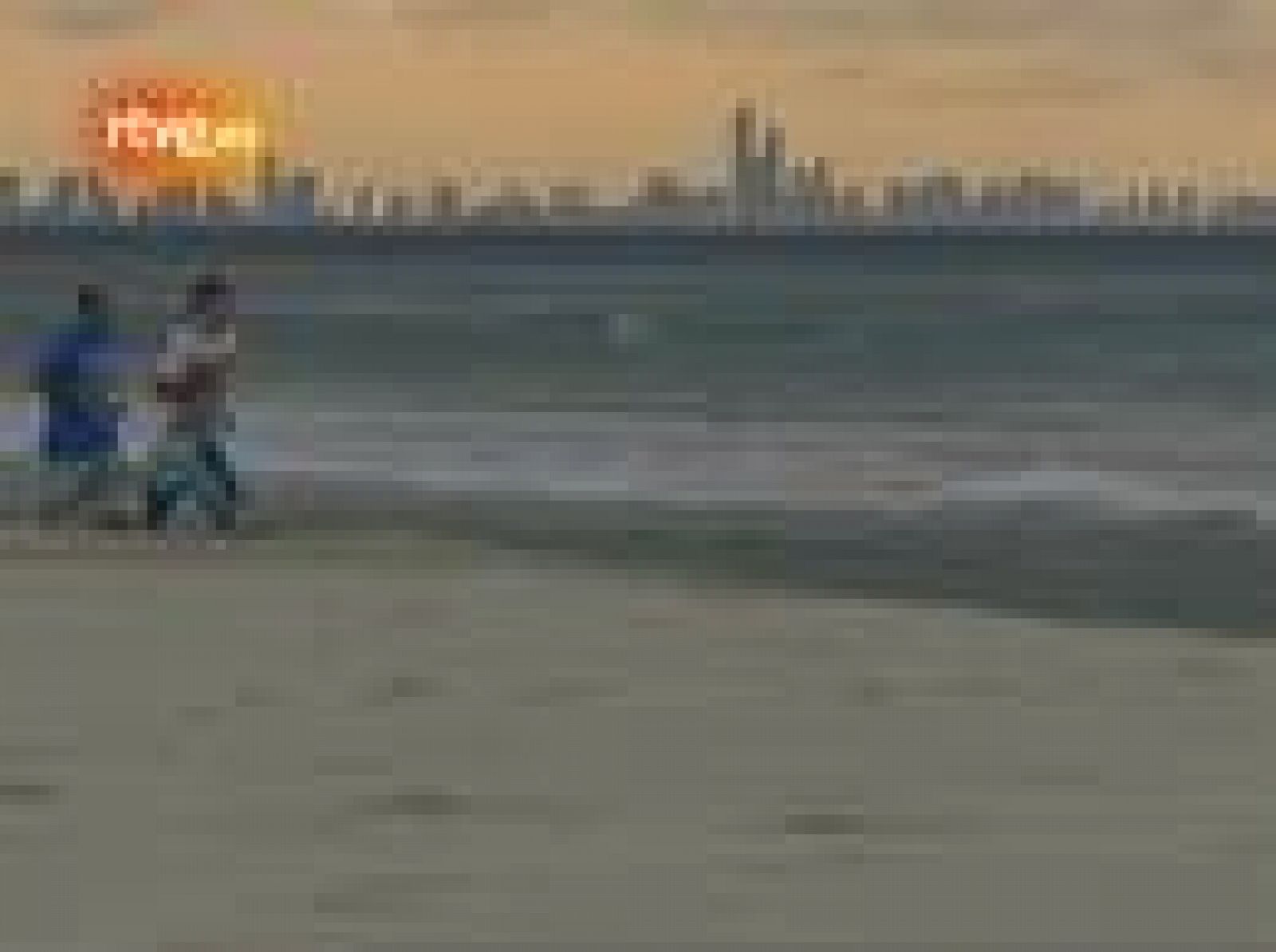 Un surfero salva-canguros | Ver