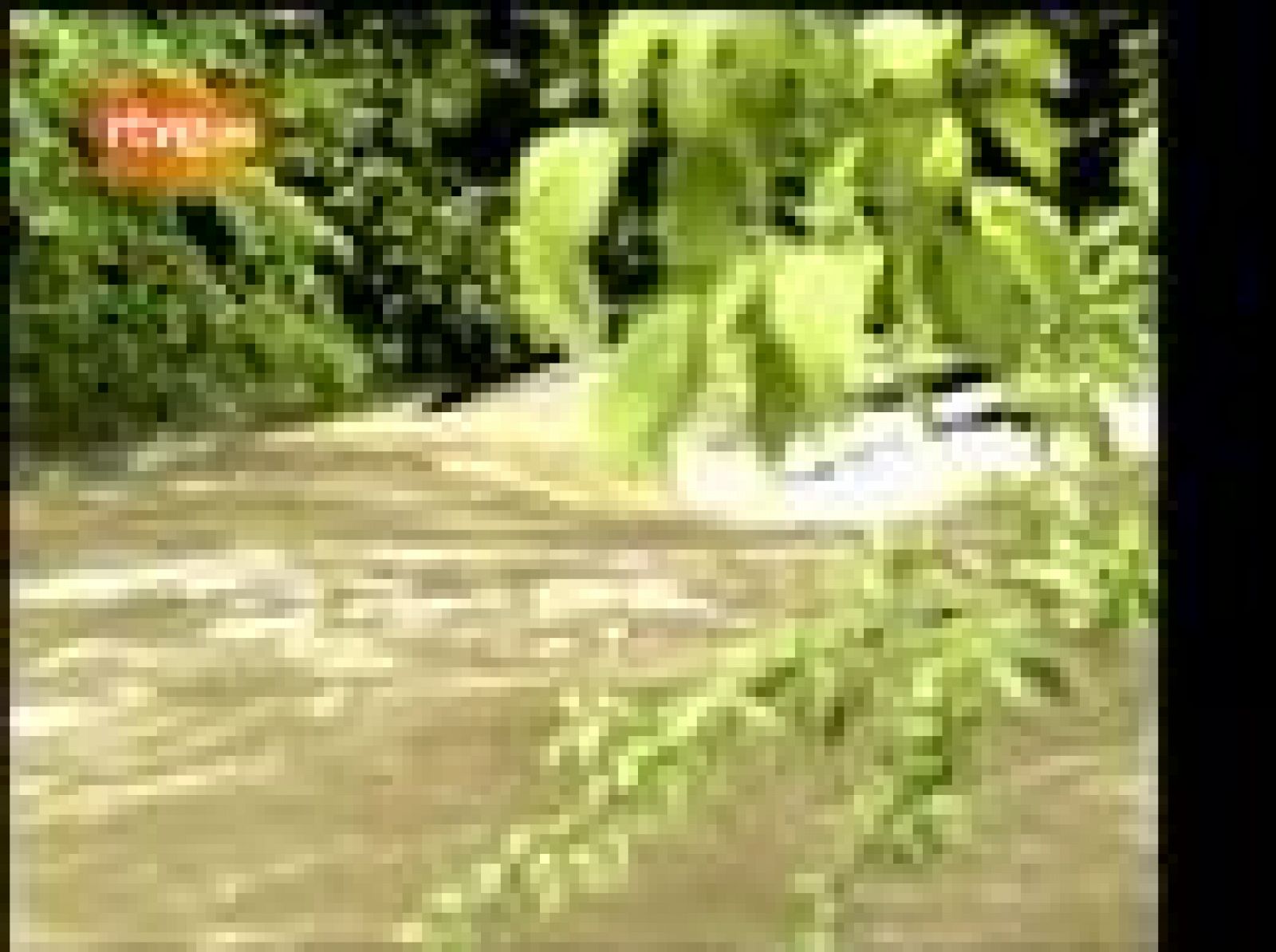 En Estados Unidos los bomberos rescatan a una mujer atrapada en su coche | Ver