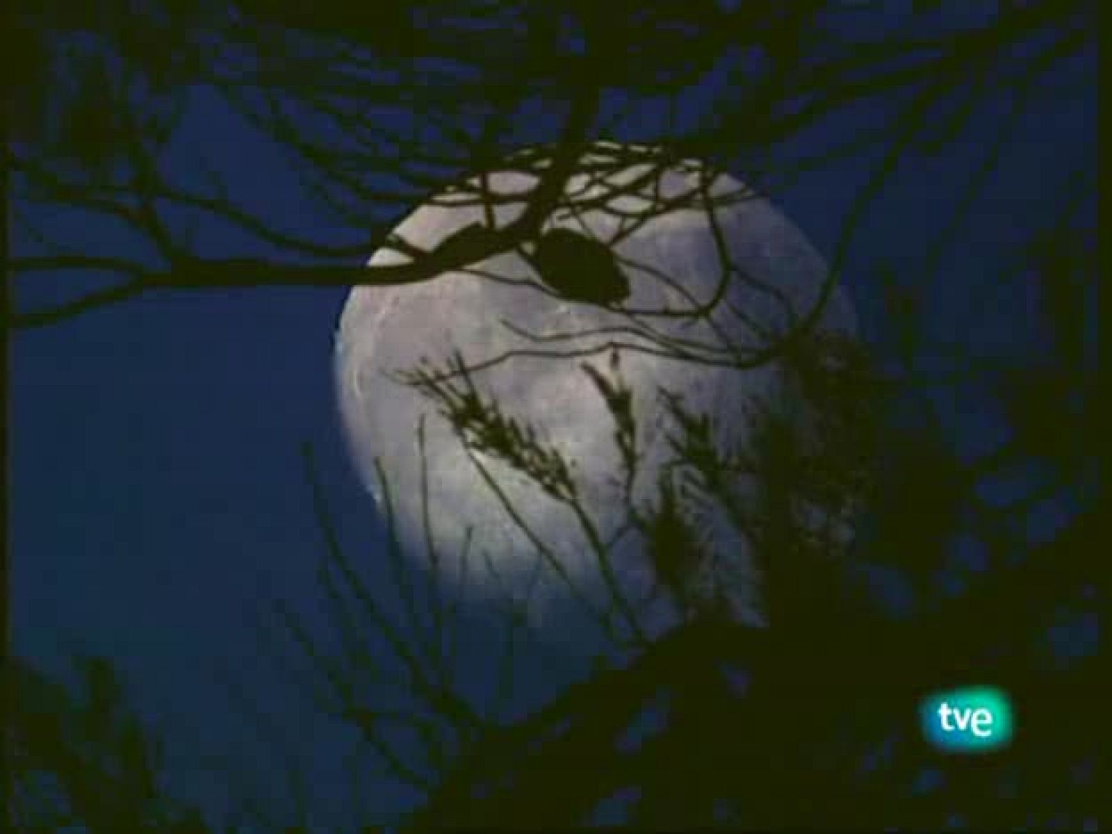 Jara y sedal - La pesca del reo con hormiga - Jara y sedal | Ver