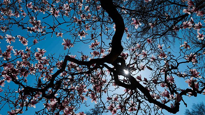 Informativo de Madrid - El Tiempo en la Comunidad de Madrid - 14/03/19