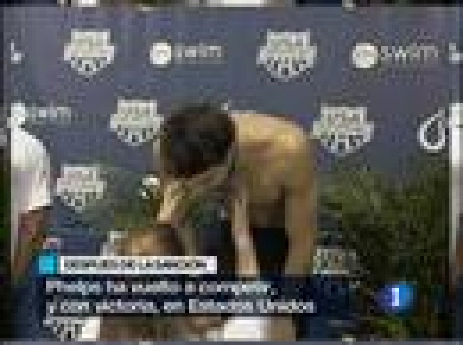 Phelps vuelve a competir | Ver