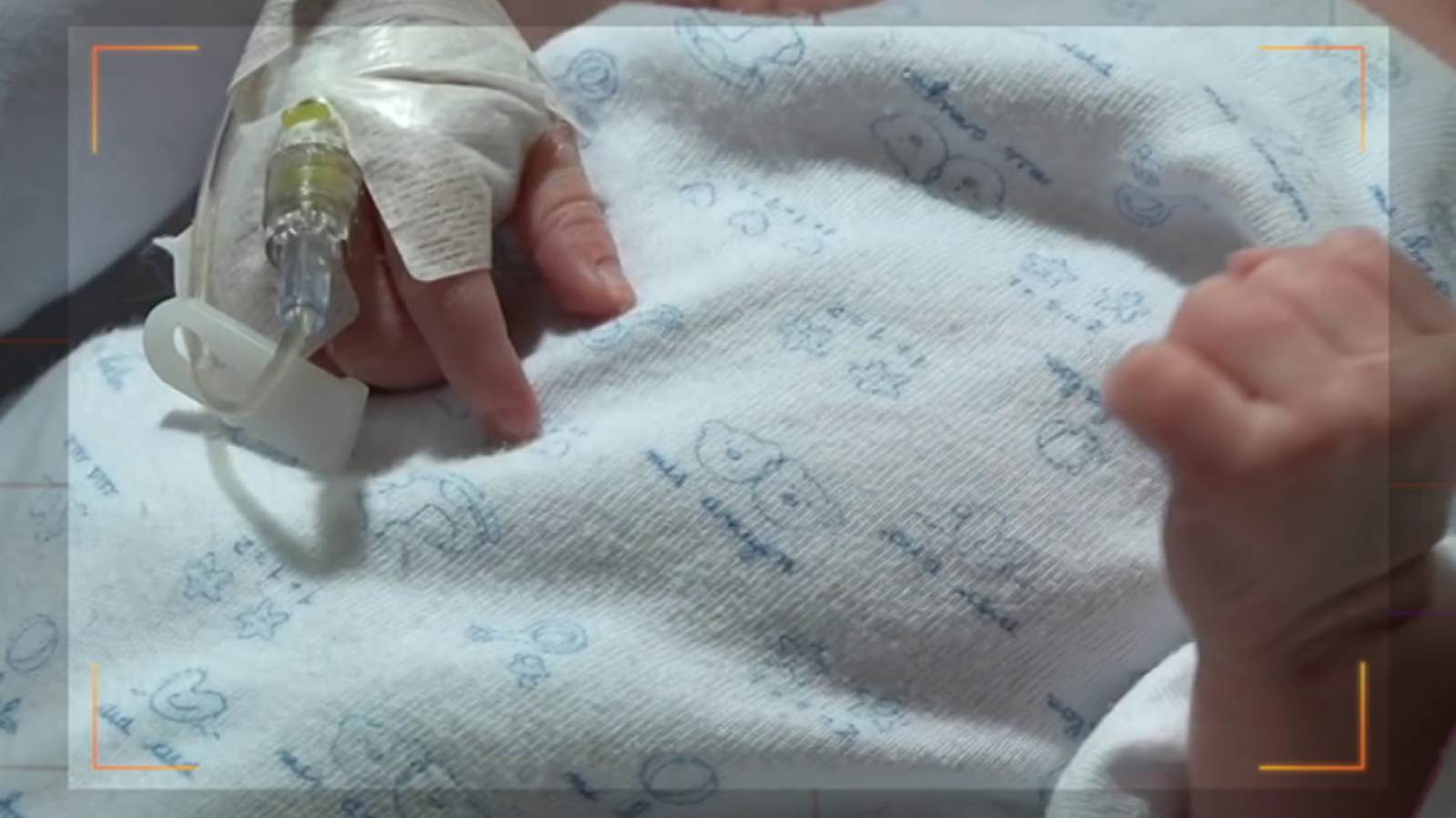 Acceso autorizado - ONT. Organización Nacional de Trasplantes - ver ahora