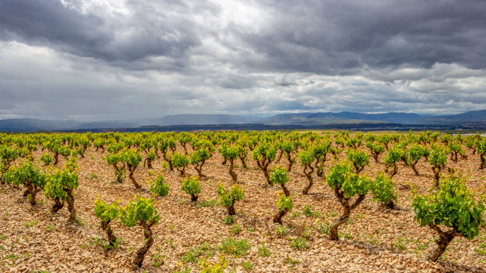 Cielos despejados salvo en el Cantábrico oriental y norte de Navarra - Ver ahora