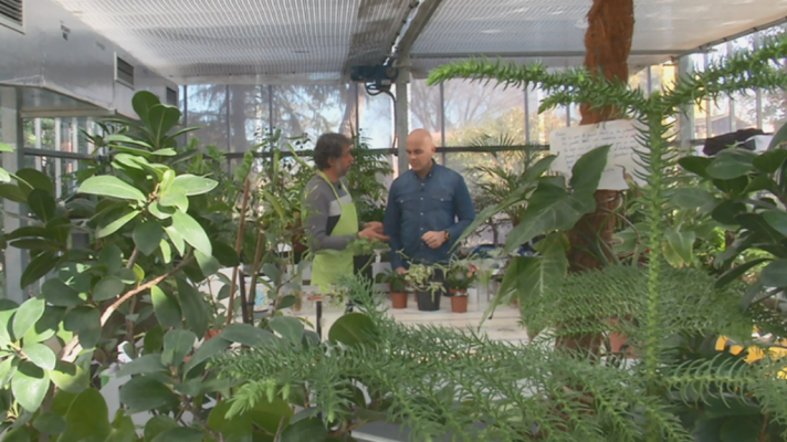 De una planta, una nueva vida