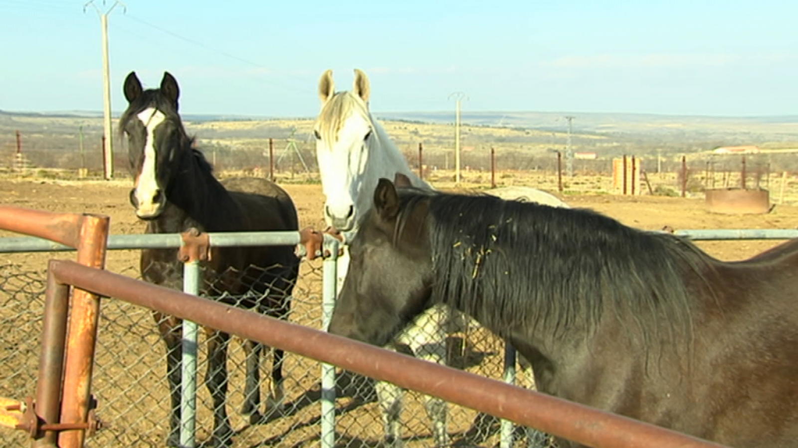 Agrosfera - 16/03/19 - ver ahora