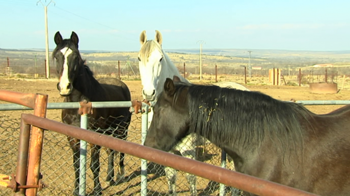 Agrosfera - Agrosfera - 16/03/19
