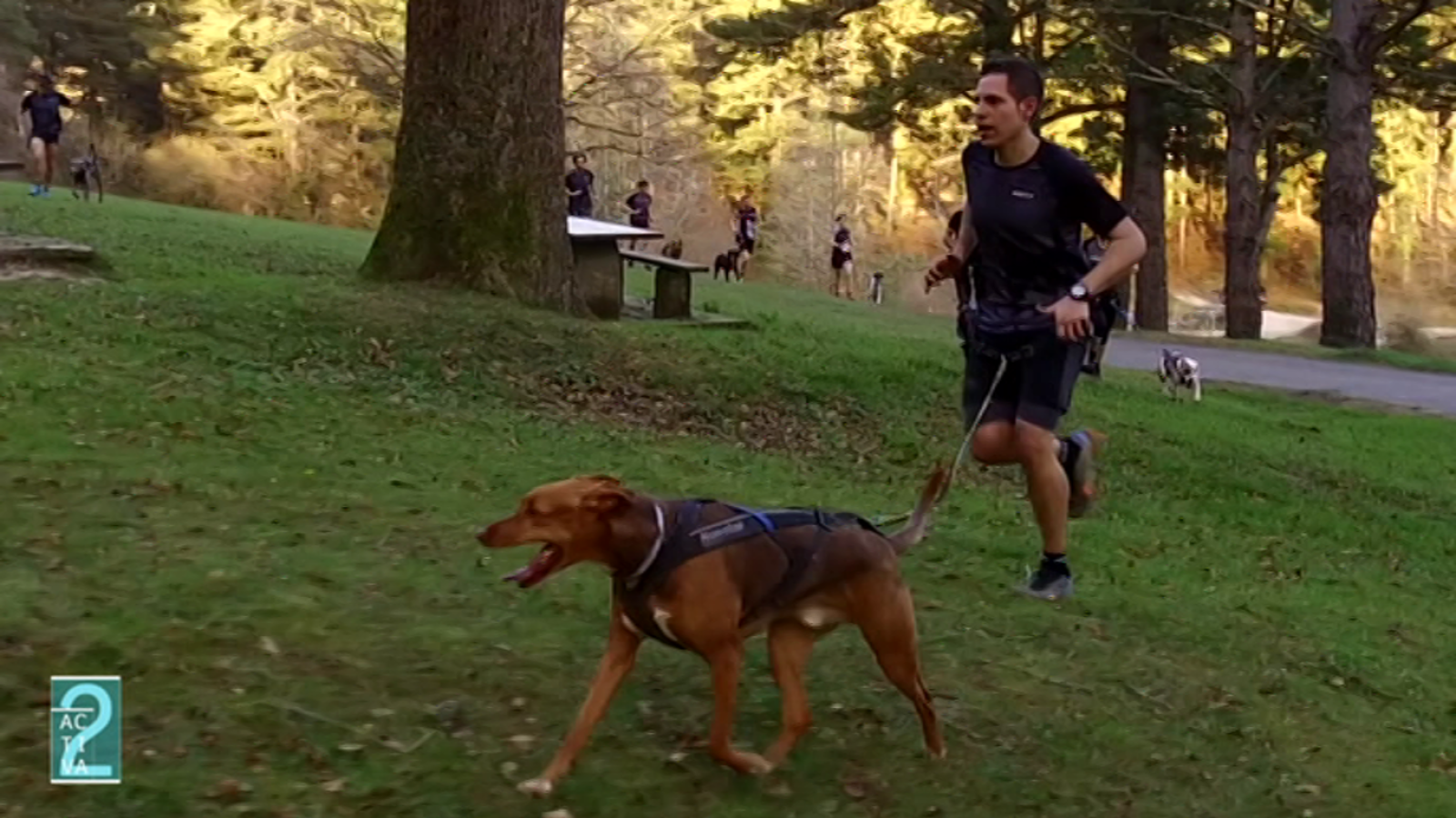 Activa2 - 16/03/19 - ver ahora