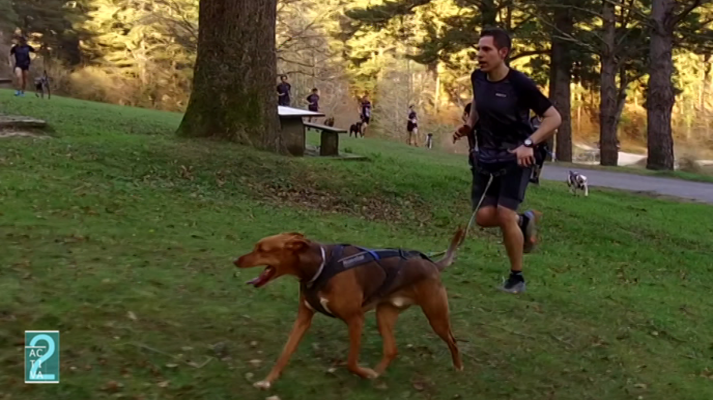 Activa2 - Activa2 - 16/03/19