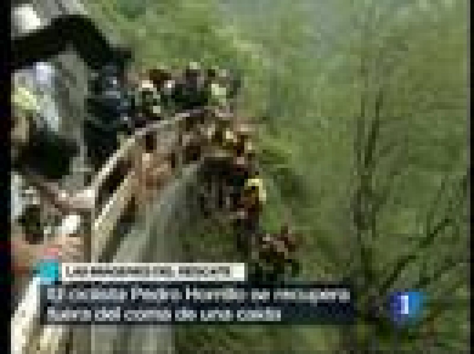 Horrillo sale del coma | Ver