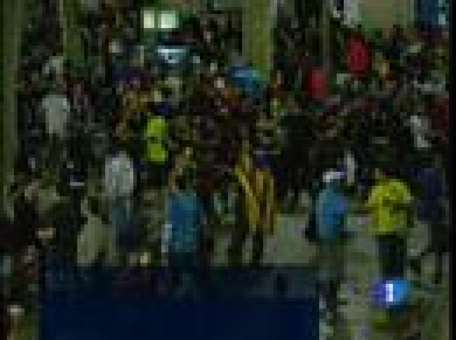 Recibimiento de campeón en Mallorca | Ver