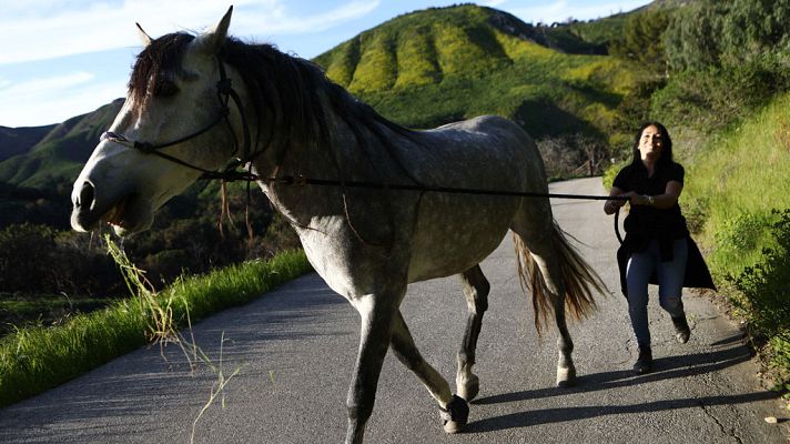 El tiempo - La semana comenzará con más frío