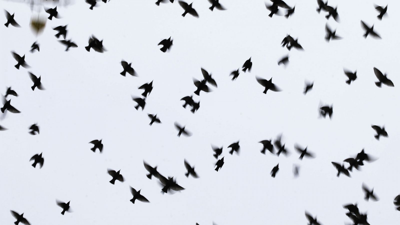 El Tiempo en la Comunidad de Madrid - 18/03/19 - ver ahora