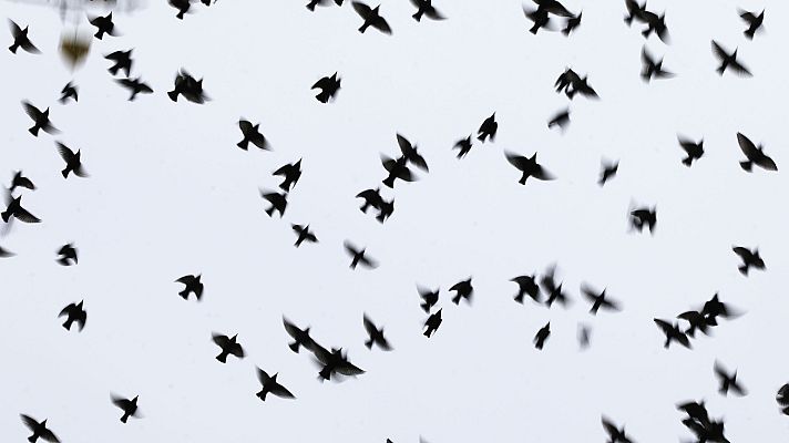 Informativo de Madrid - El Tiempo en la Comunidad de Madrid - 18/03/19