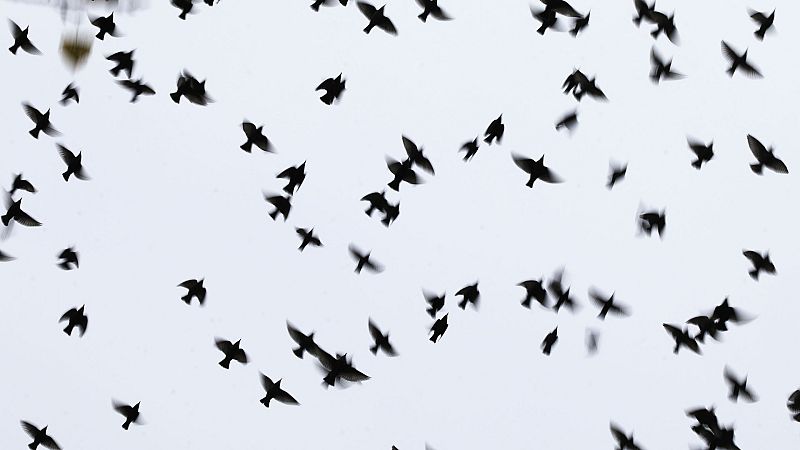 El Tiempo en la Comunidad de Madrid - 18/03/19 - ver ahora