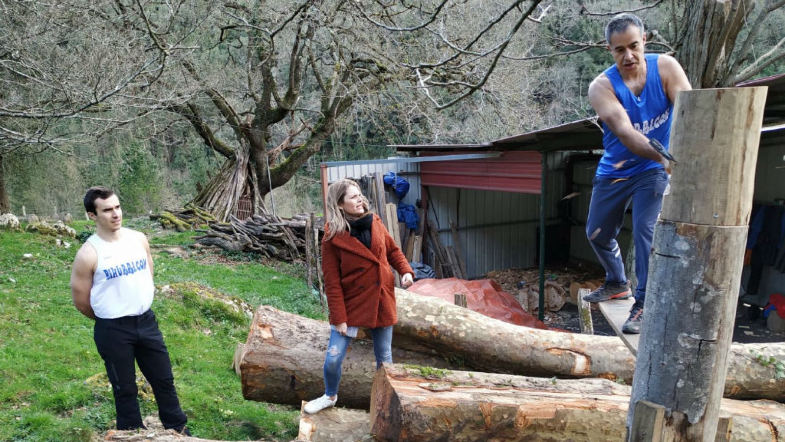 El corte de troncos en el País Vasco