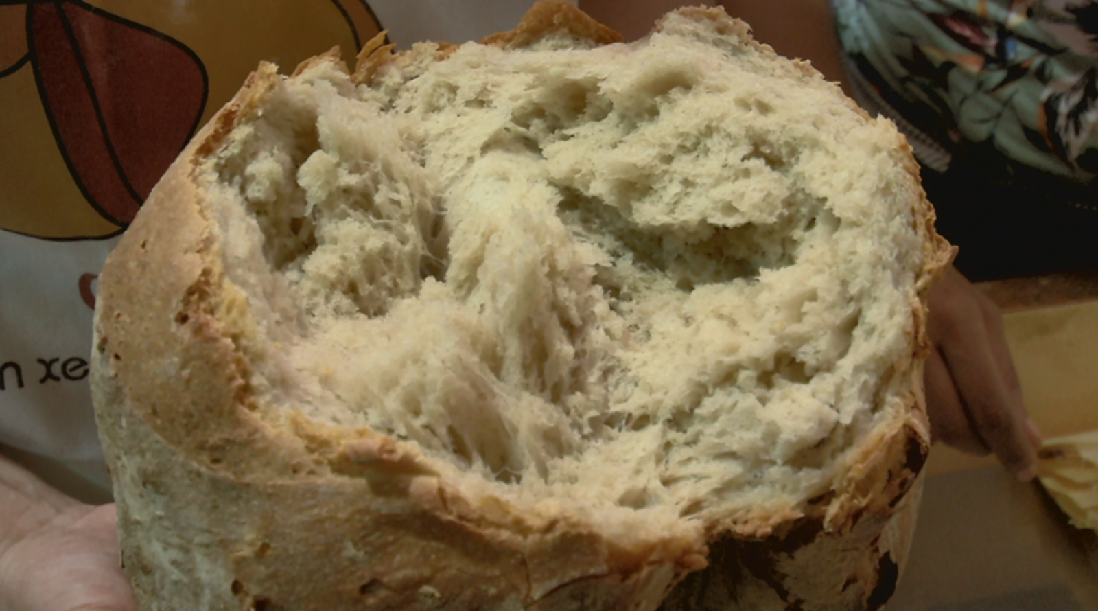 Aquí la Tierra - 18/03/19 - ver ahora