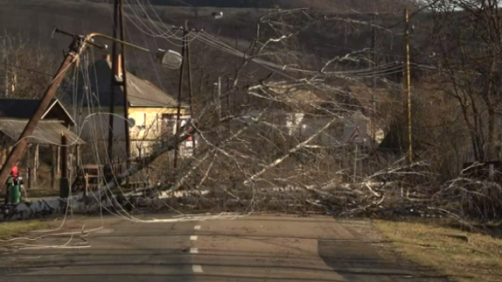 Teleplaneta - Teleplaneta - 18/03/2019