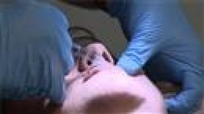 Telecanarias - Canarias en 2' - 19/03/2019