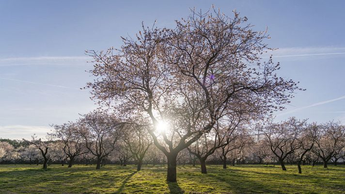 Informativo de Madrid - El Tiempo en la Comunidad de Madrid - 20/03/19