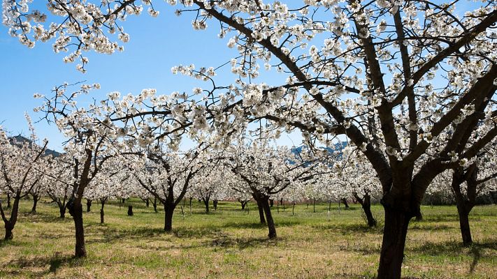 Comienza una primavera menos lluviosa de lo habitual