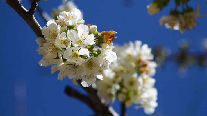 Informativo de Madrid - Informativo de Madrid 2 - 20/03/19