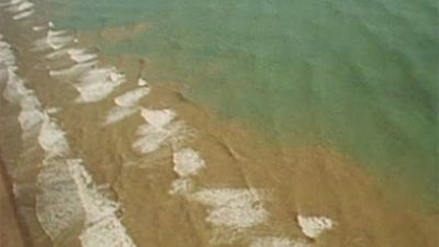 Desembocaduras: delta del Ebro