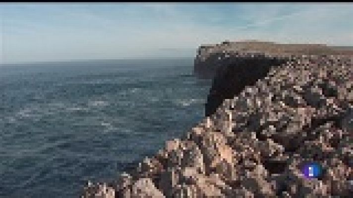 Panorama Regional - Panorama Regional - 21/03/19