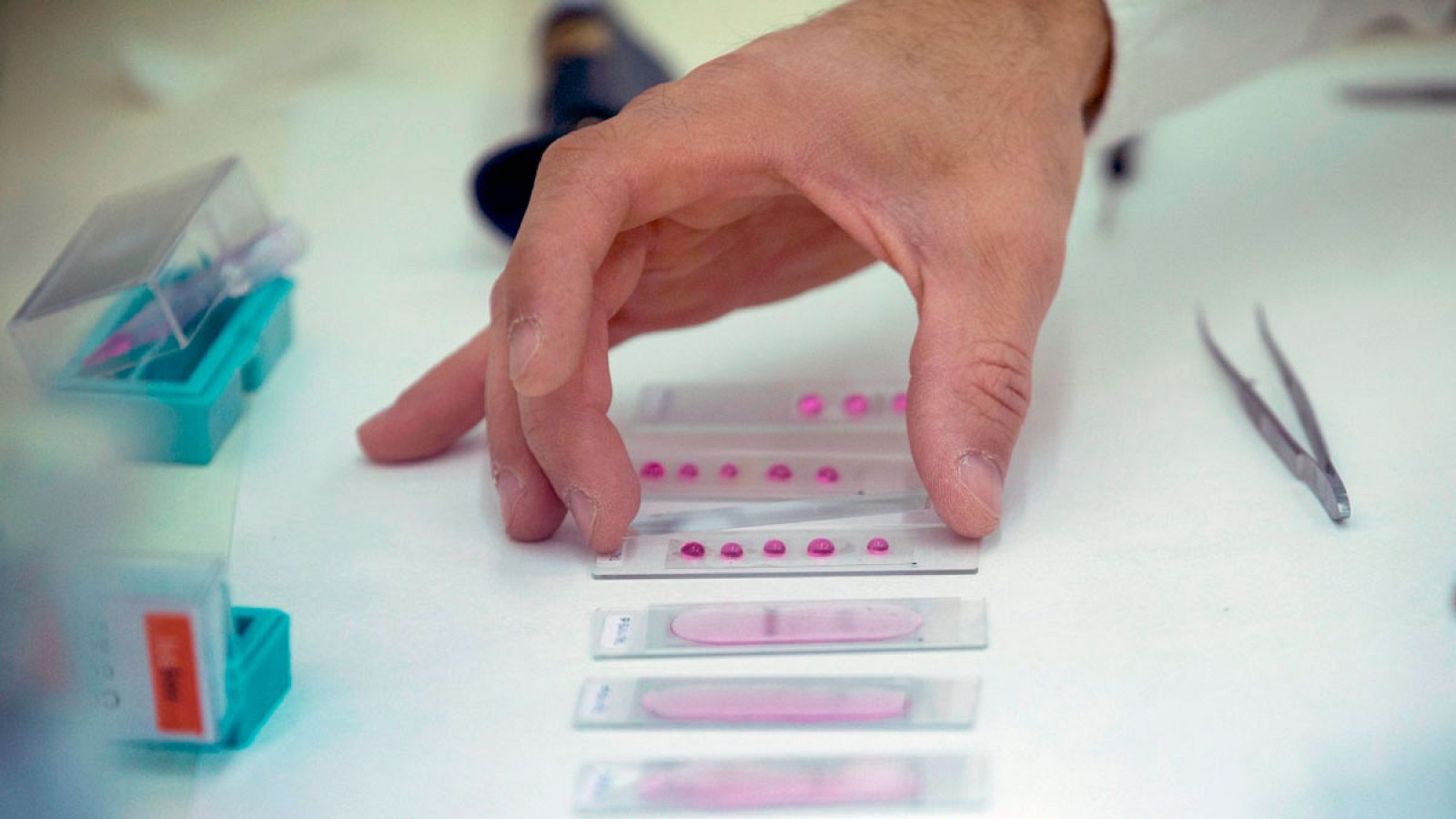 La primavera seca potenciará algunas alergias