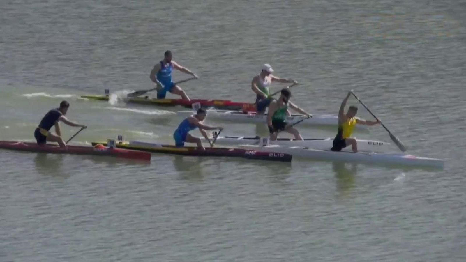 Piragüismo - Campeonato de España de invierno - ver ahora