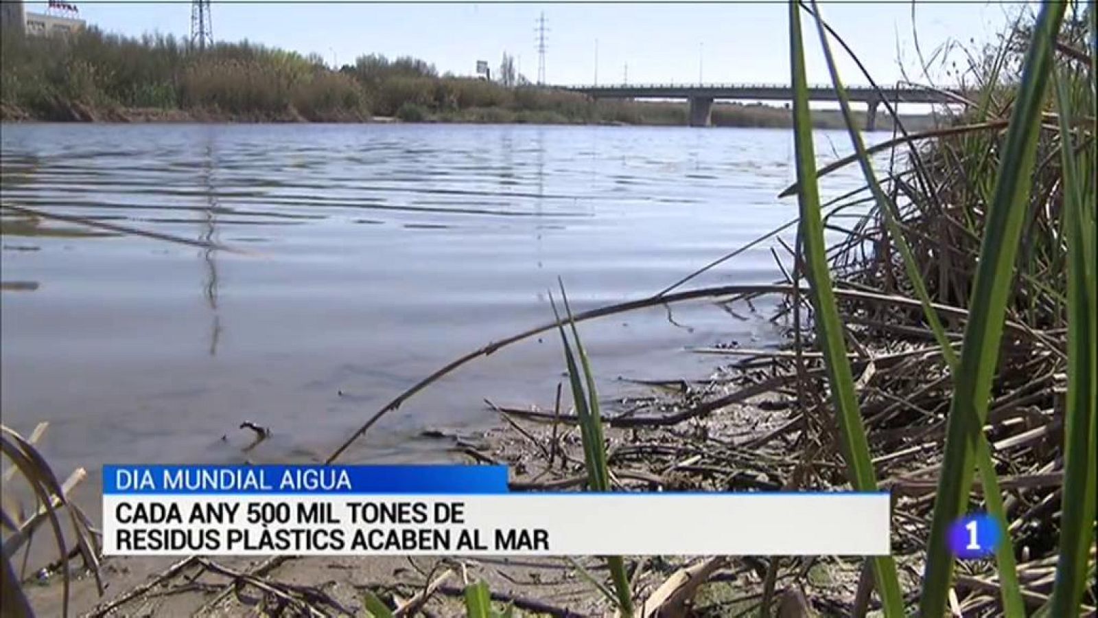 Vídeo sobre els titulars de L'Informatiu del 22/03/2019