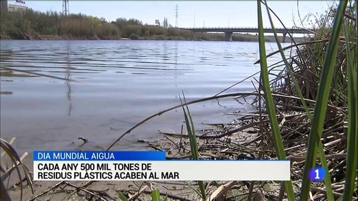 L'Informatiu - L'Informatiu en 3' - 22/03/2019