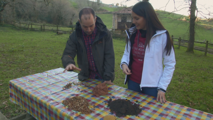 Aquí la Tierra - ¡Bombas de semillas!