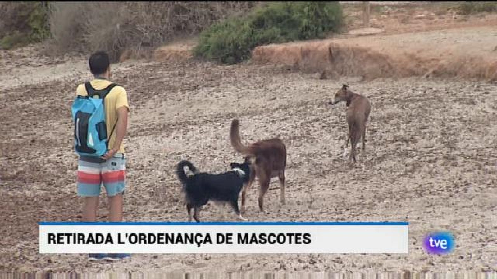 Informatiu Balear - 22/03/19