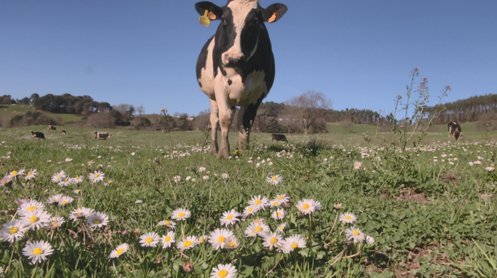 Aquí la tierra - 22/03/19 - ver ahora