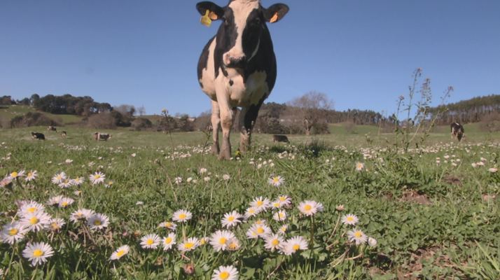 Aquí la Tierra - Aquí la tierra - 22/03/19