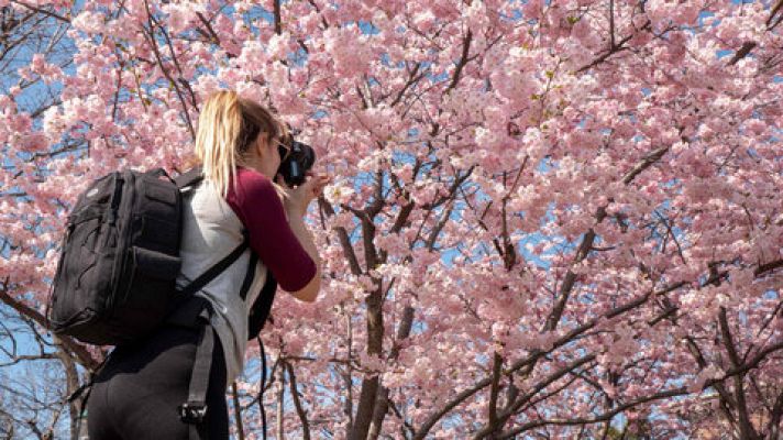 El tiempo - Temperaturas en aumento con valores por encima de los habituales para la época en la mitad norte