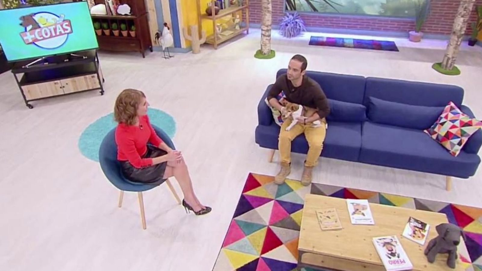 +Cotas - Programa 8 - ver ahora