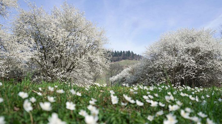 El tiempo - Las temperaturas diurnas ascenderán de forma más acusada en el  Cantábrico